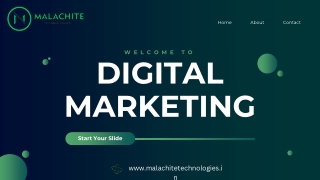 Digital Marketing Agency for Startups | Turning Ideas into Brands