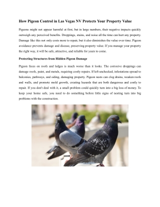 How Pigeon Control in Las Vegas NV Protects Your Property Value