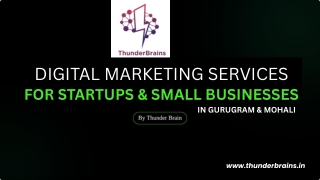 Digital Marketing Services for Startups & Small Businesses in Gurugram & Mohali by thunder brains