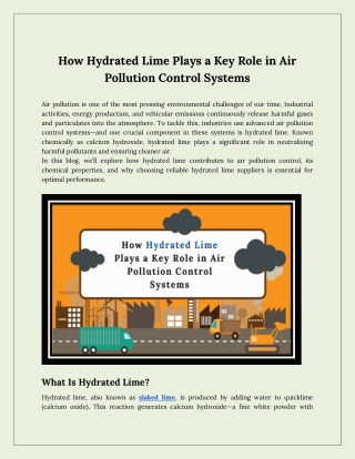 How Hydrated Lime Plays a Key Role in Air Pollution Control Systems
