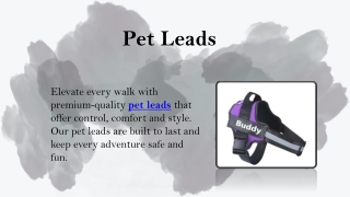 Pet Leads