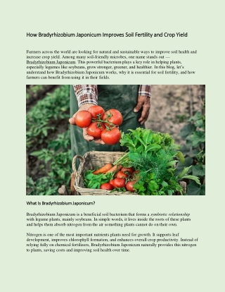 How Bradyrhizobium Japonicum Improves Soil Fertility and Crop Yield