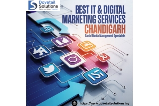 Why the Best IT and Digital Marketing Company in Chandigarh is Dovetail Solution