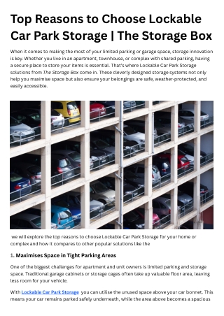 Top Reasons to Choose Lockable Car Park Storage  The Storage Box (1)