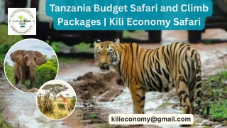 Tanzania Budget Safari and Climb Packages | Kili Economy Safari