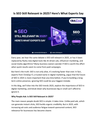 Is SEO Still Relevant in 2025? Here’s What Experts Say