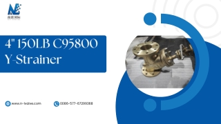 4 150LB C95800 Y-Strainer