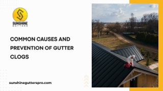 Common Causes and Prevention of Gutter Clogs