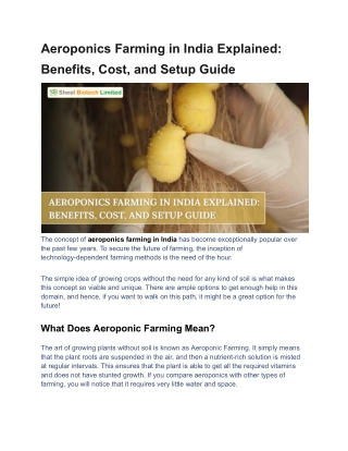Aeroponics Farming in India Explained_ Benefits, Cost, and Setup Guide