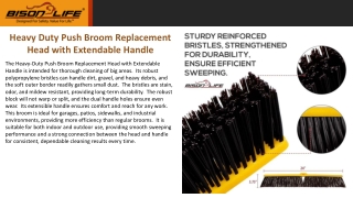 Heavy Duty Push Broom Replacement Head