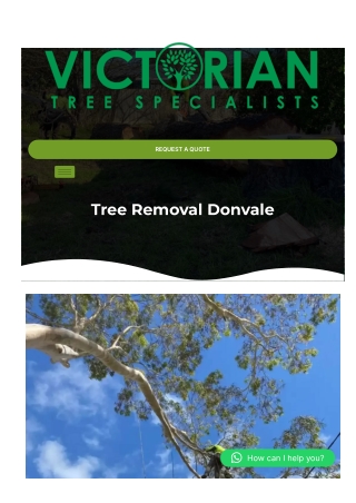 Tree Removal Donvale