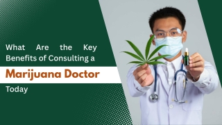 Trusted Cannabis Guidance to Improve Daily Wellness