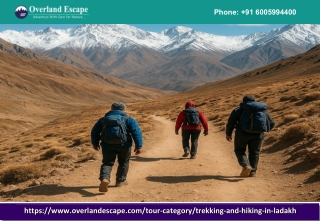 Ladakh Trekking Tour Packages