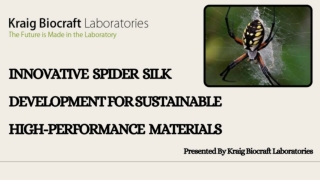 Spider Silk Development for Sustainable High-Performance Materials