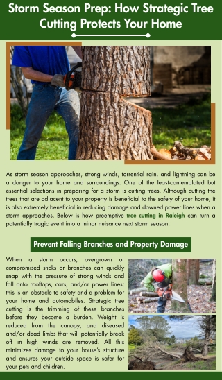 Storm Season Prep: How Strategic Tree Cutting Protects Your Home