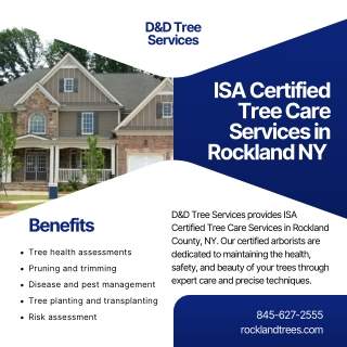 ISA Certified Tree Care Services in Rockland NY  D&D Tree Services
