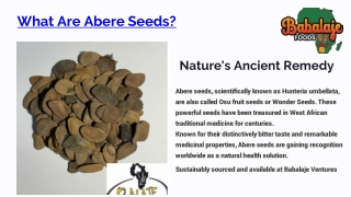 Abere Seeds (Hunteria Umbellata) – Uses, Benefits & Herbal Healing