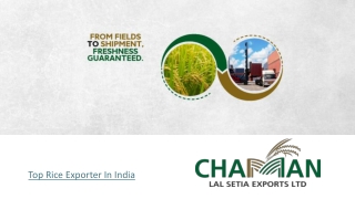 Organic Rice Supplier