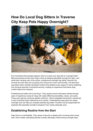 How Do Local Dog Sitters in Traverse City Keep Pets Happy Overnight_