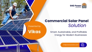 Commercial Solar Panel Solution