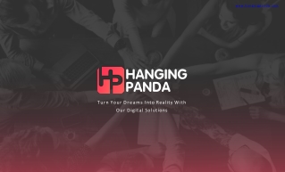 Hangingpanda -  An IT Solution Company