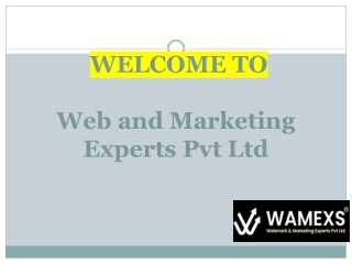 Comprehensive Domain Registration and Reliable Web Hosting Services in Delhi