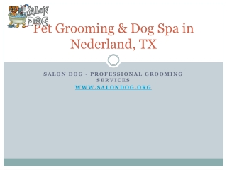 Dog Teeth & Eyes Clean in Nederland, TX