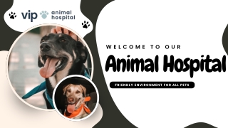 Keeping Your Furry Friend Happy and Healthy - A Guide to Intestinal Parasite Screening