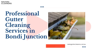 Professional Gutter Cleaning Services in Bondi Junction