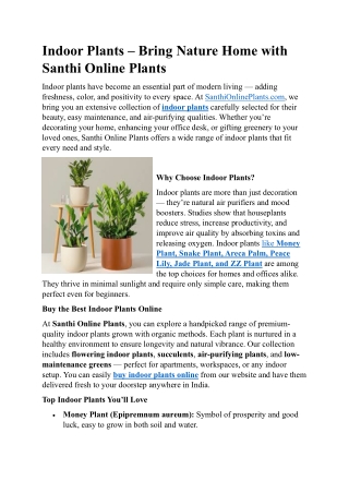 Indoor Plants – Bring Nature Home with Santhi Online Plants