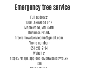 Emergency tree service