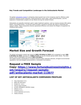 Market Forecast: Global Antiscalants Industry Outlook 2025–2032