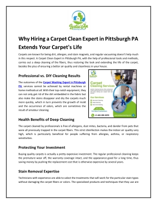 Why Hiring a Carpet Clean Expert in Pittsburgh PA Extends Your Carpet's Life
