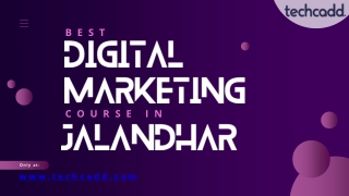 Best Digital Marketing Course in Jalandhar