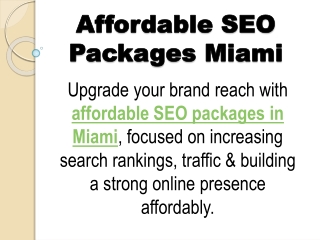 SEO Services Packages Miami