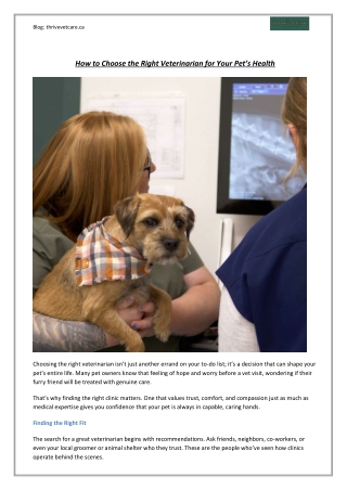 How to Choose the Right Veterinarian for Your Pet’s Health