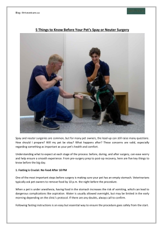 5 Things to Know Before Your Pet’s Spay or Neuter Surgery