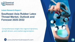 Southeast Asia Rubber Latex Thread Market, Outlook and Forecast 2025-2032