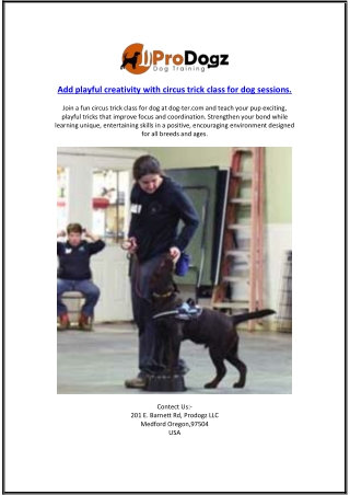 Add playful creativity with circus trick class for dog sessions
