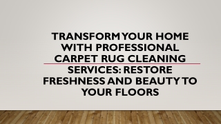 Carpet Rug Cleaning Services