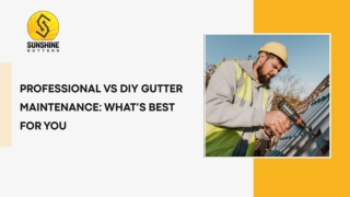 Professional vs DIY Gutter Maintenance What’s best for you