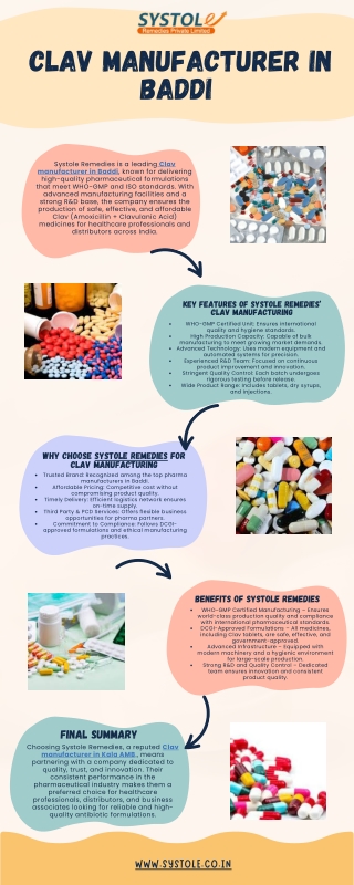 Clav Manufacturer in Baddi