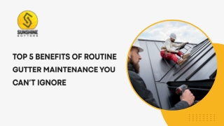 Top 5 Benefits of Routine Gutter Maintenance You Can’t Ignore