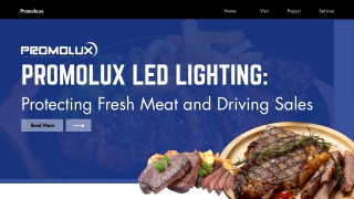 Promolux LED Lighting Protecting Fresh Meat and Driving Sales