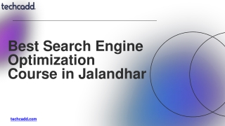 Best Search Engine Optimization Course in Jalandhar