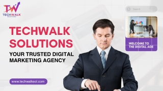 Best Local SEO service in Chandigarh | Techwalk Solutions