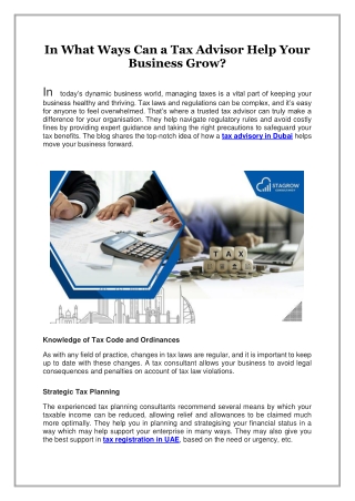 In What Ways Can a Tax Advisor Help Your Business Grow