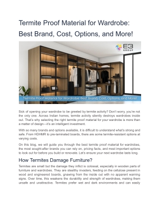 Termite Proof Material for Wardrobe Best Brand, Cost, Options, and More!
