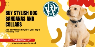 Buy Stylish Dog Bandanas and Collars