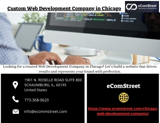 Custom Web Development Company in Chicago